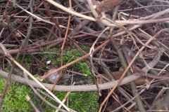 20170406_080728