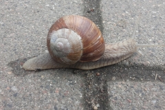 20170505_082244