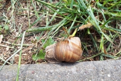 20180602_104505
