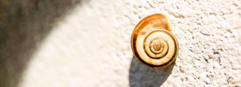 Autorski turnus dla rodzin dzieci z implantami słuchowymi